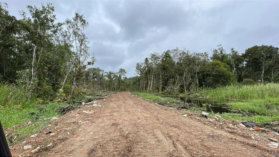 Terreno - Venda - Praia Grande - Matinhos - PR