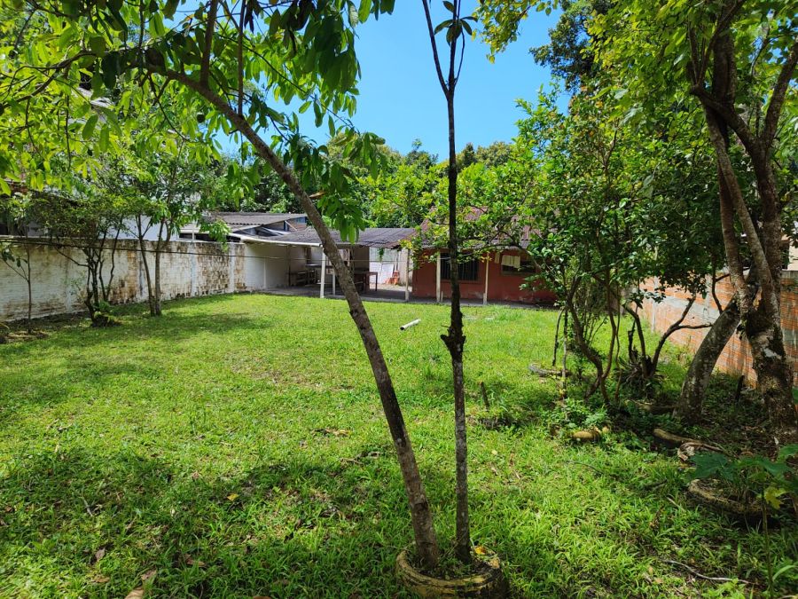 Terreno - Venda - Vila Progresso - Pontal do Paran� - PR