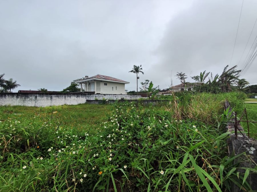 Terreno - Venda - Carmery - Pontal do Paran� - PR