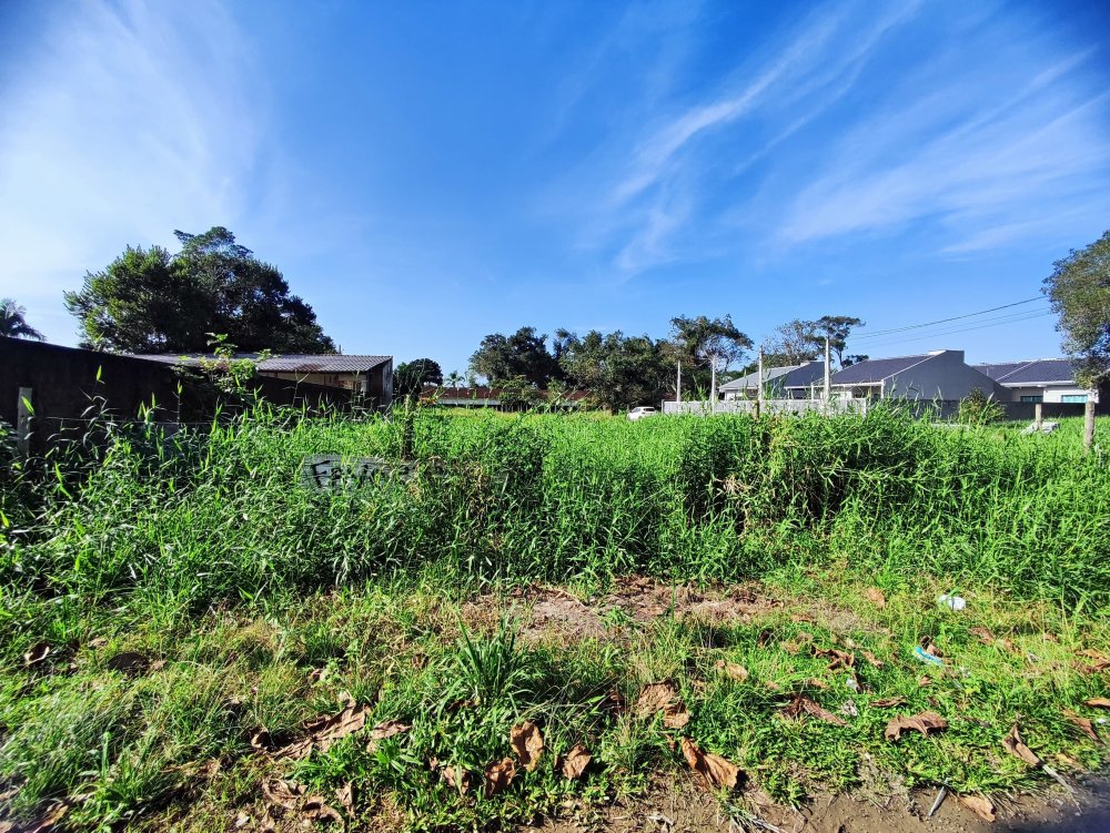 Terreno - Venda - Guacyara - Matinhos - PR